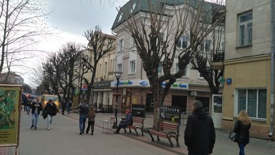 На пішохідній вулиці Луцька кронували шість дерев На пішохідній вулиці Луцька кронували шість дерев
