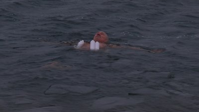 У Черкасах "моржі" розпочнуть рік із запливу Дніпром