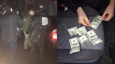 На Житомирщині затримали на хабарі посадовця Держекоінспекції, який прикривав "чорного лісоруба"