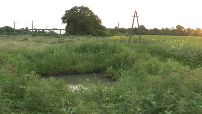 Запорізький обласний водоканал перевірять через "озера" питної води під Вільнянськом