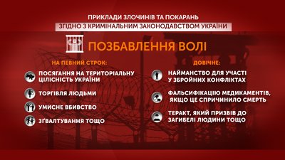 Графіка: приклади злочинів, за які можуть притягнути до позбавлення волі Графіка: приклади злочинів, за які можуть притягнути до позбавлення волі
