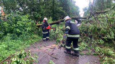 Щонайменше 3 дерева у Дніпрі впали на автомобілі Щонайменше 3 дерева у Дніпрі впали на автомобілі