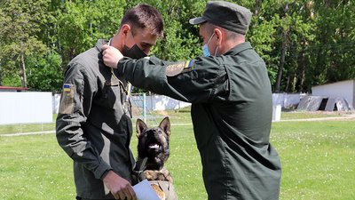 У Тернополі відбулися змагання кінологів
