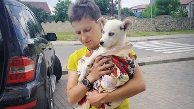 "Люди працюють без вихідних". Очільниця франківського "Дому Сірка" про притулок