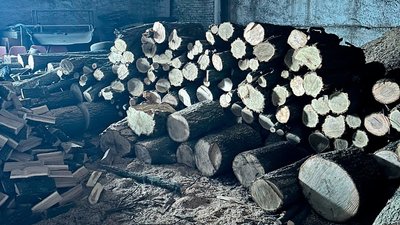 На Кіровоградщині судитимуть п’ятьох чоловіків, які вирубали посадку на понад мільйон гривень На Кіровоградщині судитимуть п’ятьох чоловіків, які вирубали посадку на понад мільйон гривень