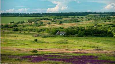 Короткі дощі, місцями – грози. Прогноз погоди на Кіровоградщині на наступний тиждень