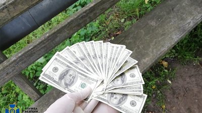 Вимагав 2 тисячі доларів: На Полтавщині затримали посадовця з Лохвицької міськради Вимагав 2 тисячі доларів: На Полтавщині затримали посадовця з Лохвицької міськради