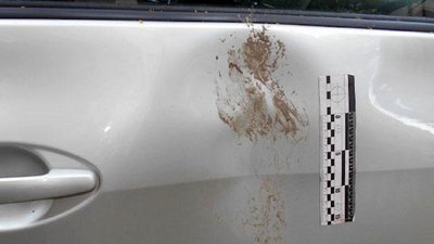 У Рівному двоє юнаків пошкодили дев'ять автівок У Рівному двоє юнаків пошкодили дев'ять автівок