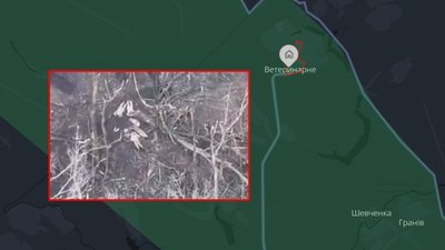 Росіяни розстріляли чотирьох військовополонених біля Ветеринарного на Харківщині 11 квітня