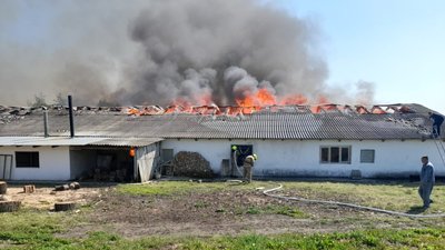 На Івано-Франківщині горить птахоферма На Івано-Франківщині горить птахоферма