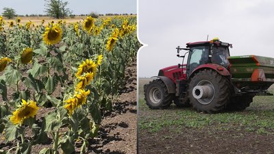 Херсонщина, врожай, аграрії, жнива, овочі, фрукти, пшениця, економіка, фермер