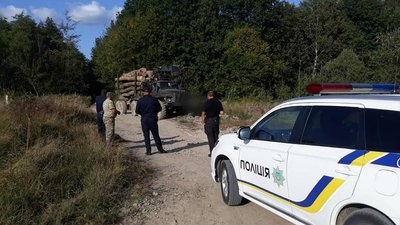 Дві вантажівки з незаконно зрубаним деревом затримали на Прикарпатті