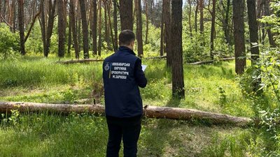ліс, прокуратура