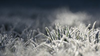 На вихідні у Полтавській області прогнозують опади та мороз