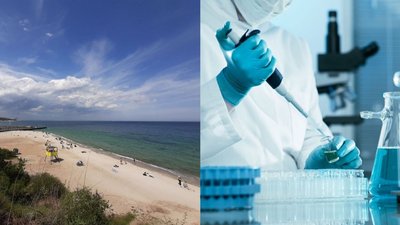 На п'ятьох пляжах Одещини морська вода не відповідає санітарним вимогам – МОЗ