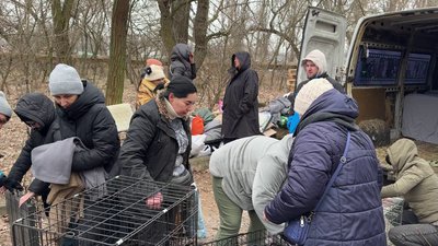 Евакуація триватиме, поки не вивезуть всіх тварин: у Кропивницькому продовжують рятувати собак і котів від підтоплення Евакуація триватиме, поки не вивезуть всіх тварин: у Кропивницькому продовжують рятувати собак і котів від підтоплення