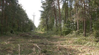 Енергетики і негода Енергетики і негода