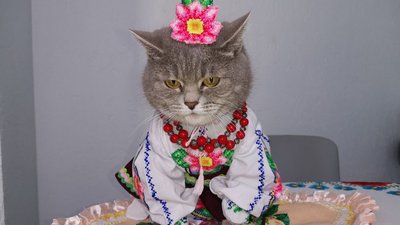Антоніна Мирінець волонтерить зі своєю кішкою