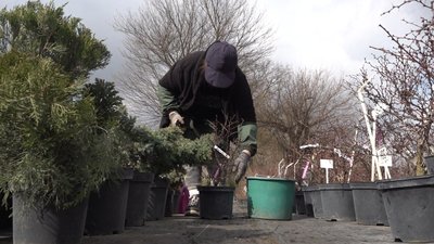 Садовий центр Лариси Ногаль-Зеленої Садовий центр Лариси Ногаль-Зеленої