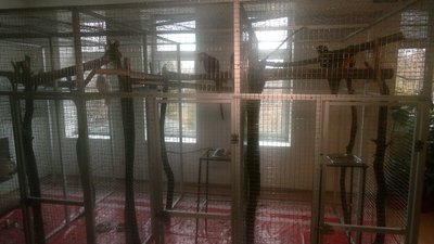 У зоопарку Рівного закликають купувати квитки онлайн, аби допомогти тваринам У зоопарку Рівного закликають купувати квитки онлайн, аби допомогти тваринам