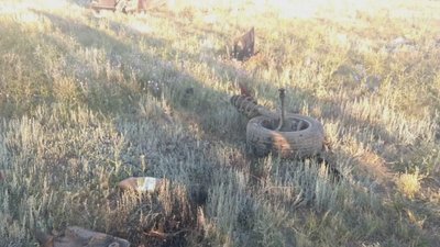 У ДТП на Одещині помер водій