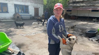 "Коли рятую чергову "дитину", я щаслива": зоозахисниця з Сумщини – про своїх підопічних з притулку "Коли рятую чергову "дитину", я щаслива": зоозахисниця з Сумщини – про своїх підопічних з притулку