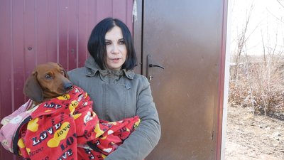 Залишили напризволяще: у Бахмуті шукають людей, які викинули за містом травмованого собаку Залишили напризволяще: у Бахмуті шукають людей, які викинули за містом травмованого собаку