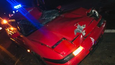 Аварія на Волині: під колеса автомобіля потрапив лось Аварія на Волині: під колеса автомобіля потрапив лось