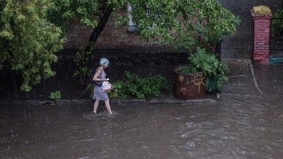 У Києві впали 150 дерев через негоду