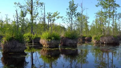 Про захоплення пейзажним аерофото розповів черкаський фотограф