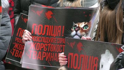 У Херсоні мітингували люди, які захищають безпритульних тварин: чого вимагали