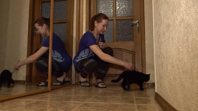 Виводить нову породу котів. Черкащанка Ірина Мізленко Виводить нову породу котів. Черкащанка Ірина Мізленко