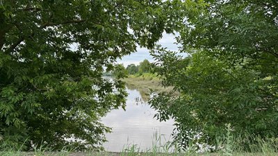 виявили тіло жінки, смерть, вода, річка, чортків, жінка