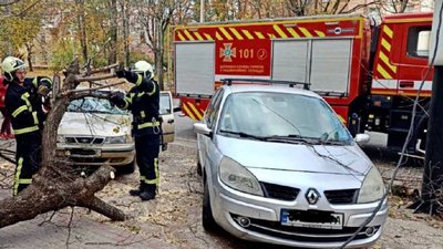 Повалені дерева: на Черкащині ліквідовують наслідки негоди