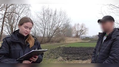 крадіжка, кримінал, поліція, декоративні дерева, Житомирщина
