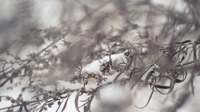 На заході дощі, на сході – сніг. Якою буде погода у вівторок