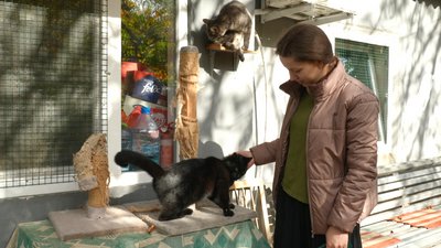 Одеський притулок для котів при жіночому монастирі