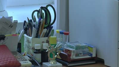 На Полтавщині у трьох навчальних закладах 5-ті класи розпочали навчання за програмою НУШ