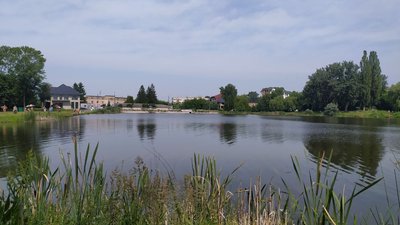 У Луцькій водоймі не рекомендують купатися: де та чому У Луцькій водоймі не рекомендують купатися: де та чому
