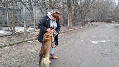 "Може, в когось серце тьохне".Тваринам, евакуйованим з Донеччини, шукають господарів "Може, в когось серце тьохне".Тваринам, евакуйованим з Донеччини, шукають господарів