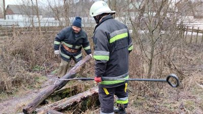 У селі на Житомирщині рятувальники дістали тіло чоловіка з закинутої криниці У селі на Житомирщині рятувальники дістали тіло чоловіка з закинутої криниці