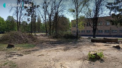 У Рівному біля школи зрізали десятки дерев. Директор пояснив, навіщо