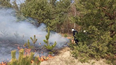 За минулу добу на Волині ліквідували 20 пожеж в екосистемах За минулу добу на Волині ліквідували 20 пожеж в екосистемах