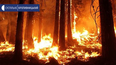Понад сто рятувальників Кіровоградщини гасять лісову пожежу в Чорнобильській зоні