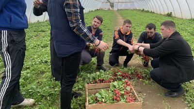 54 пучки за пів години: ужгородські семінаристи збирають урожай редиски 54 пучки за пів години: ужгородські семінаристи збирають урожай редиски