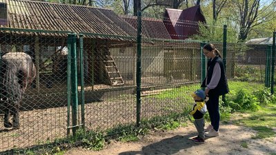 Тернопільський зоокуток відновив роботу Тернопільський зоокуток відновив роботу