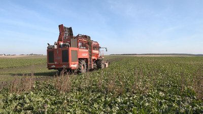 На Волині завершується посівна озимих культур