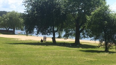 На Житомирщині дослідили якість води у місцях для купання – половина проб не відповідає нормам На Житомирщині дослідили якість води у місцях для купання – половина проб не відповідає нормам