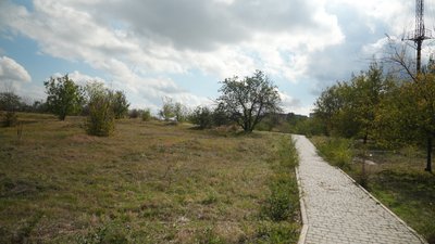"Така синергія з природою": у Запоріжжі табун коней гуляє містом. Що відомо "Така синергія з природою": у Запоріжжі табун коней гуляє містом. Що відомо