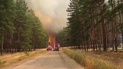 На Луганщині 12 родин чекають компенсацію за пошкоджене у торішній пожежі житло На Луганщині 12 родин чекають компенсацію за пошкоджене у торішній пожежі житло